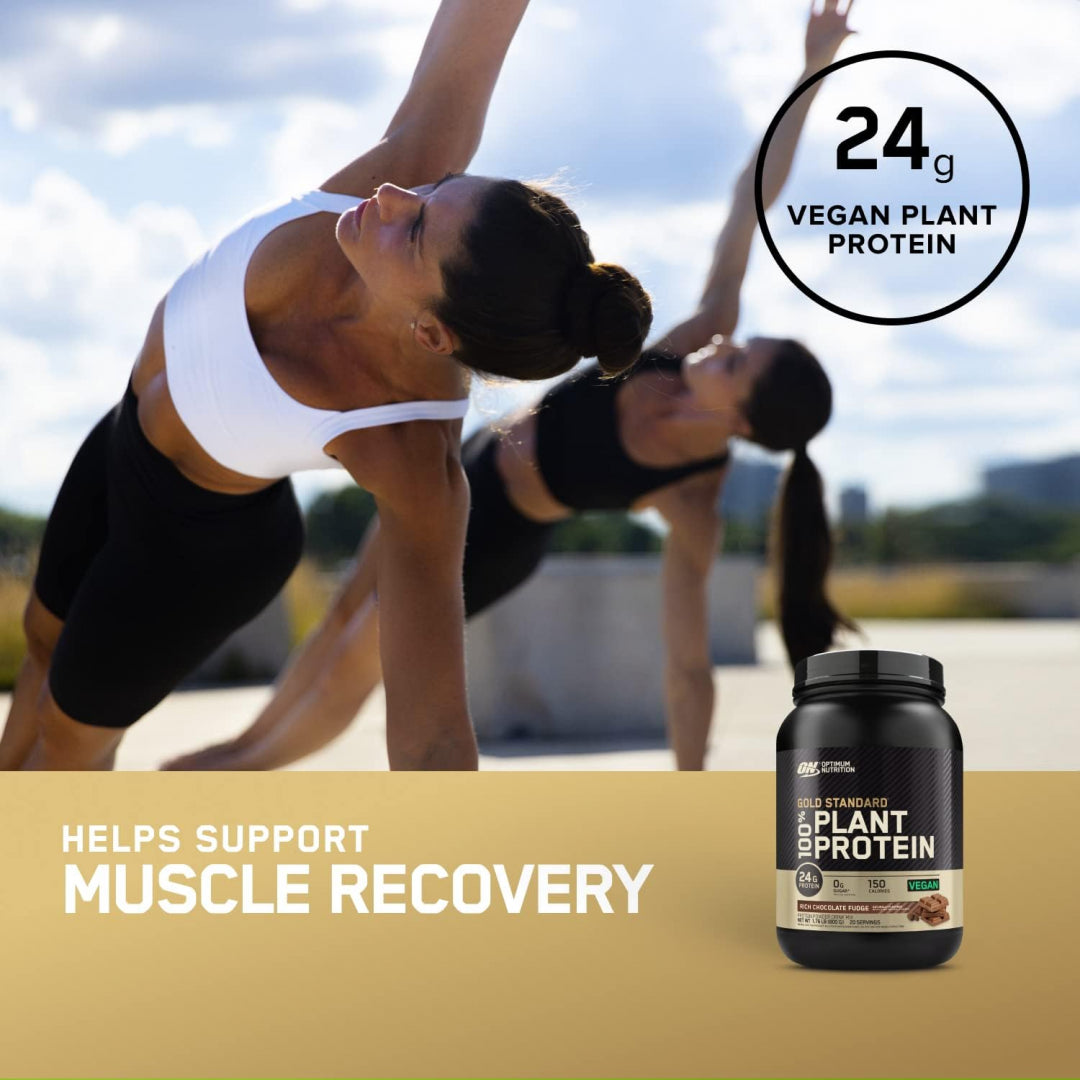 Optimum Nutrition Gold Standard 100% Plant Protein - Creamy Vanilla 1.63 lb