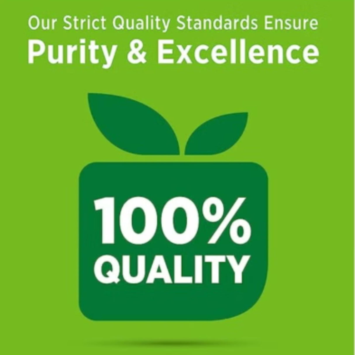 Nature’s Truth Melatonin 5 mg – 90 Fast Dissolve Tablets (Natural Berry Flavor)