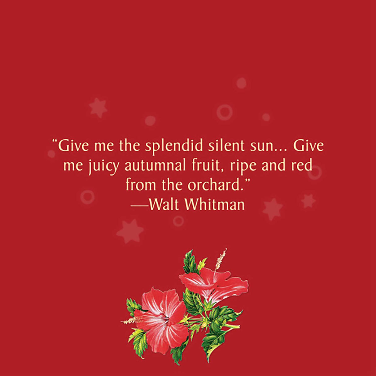 Celestial Seasonings Caffeine Free Red Zinger Herbal Tea 20 Tea Bags