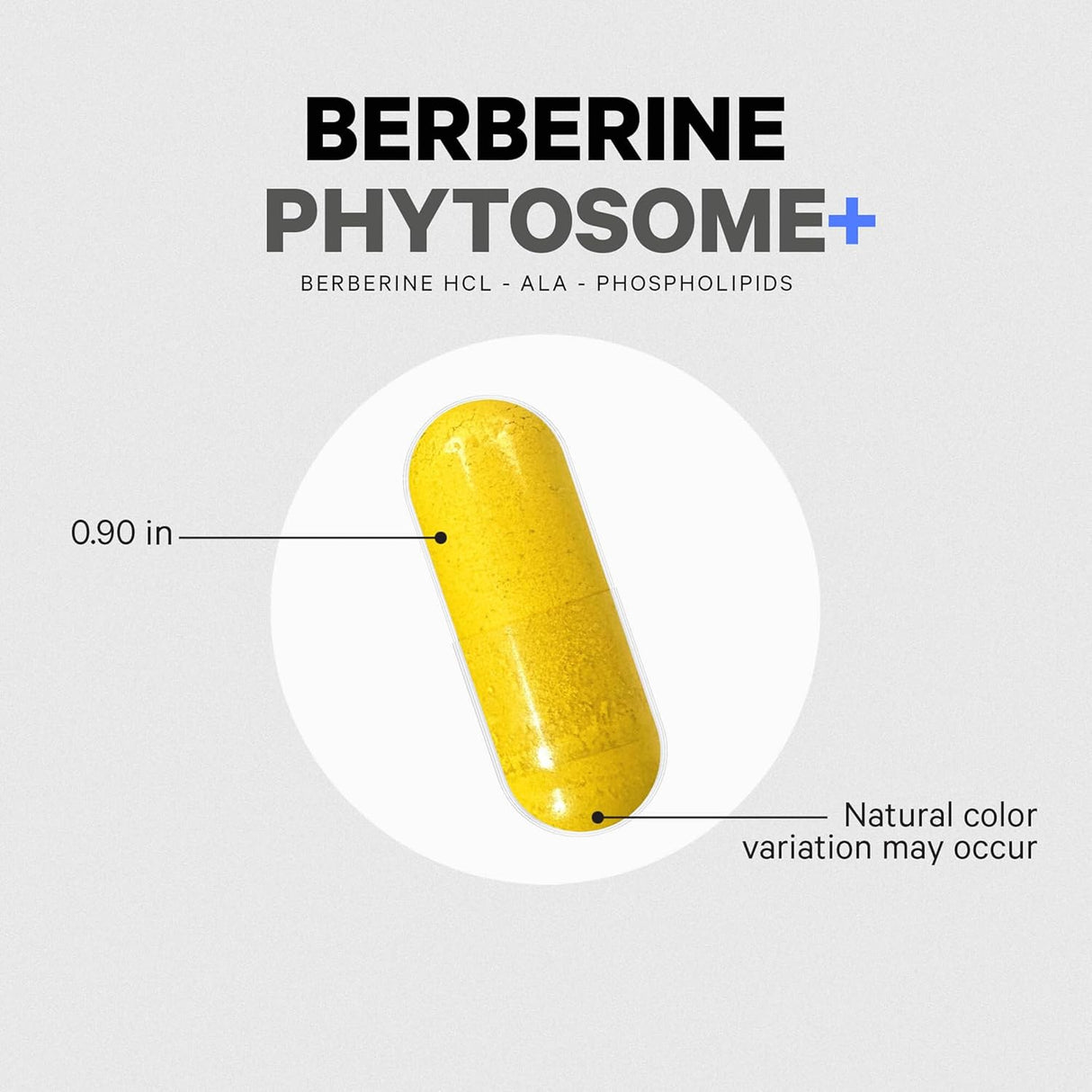 Codeage Berberine Phytosome+ 60 Vegetable Capsules