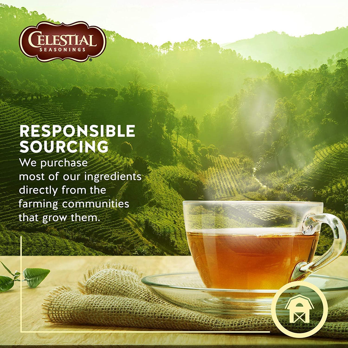 Celestial Seasonings Sleepytime Herb Tea 40 Tea Bags