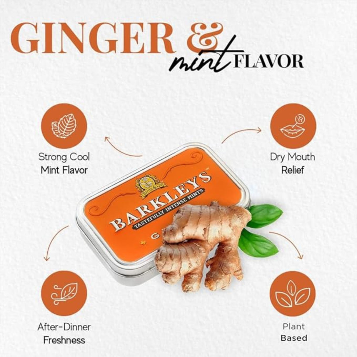 Barkleys Classic Mints (50 G)