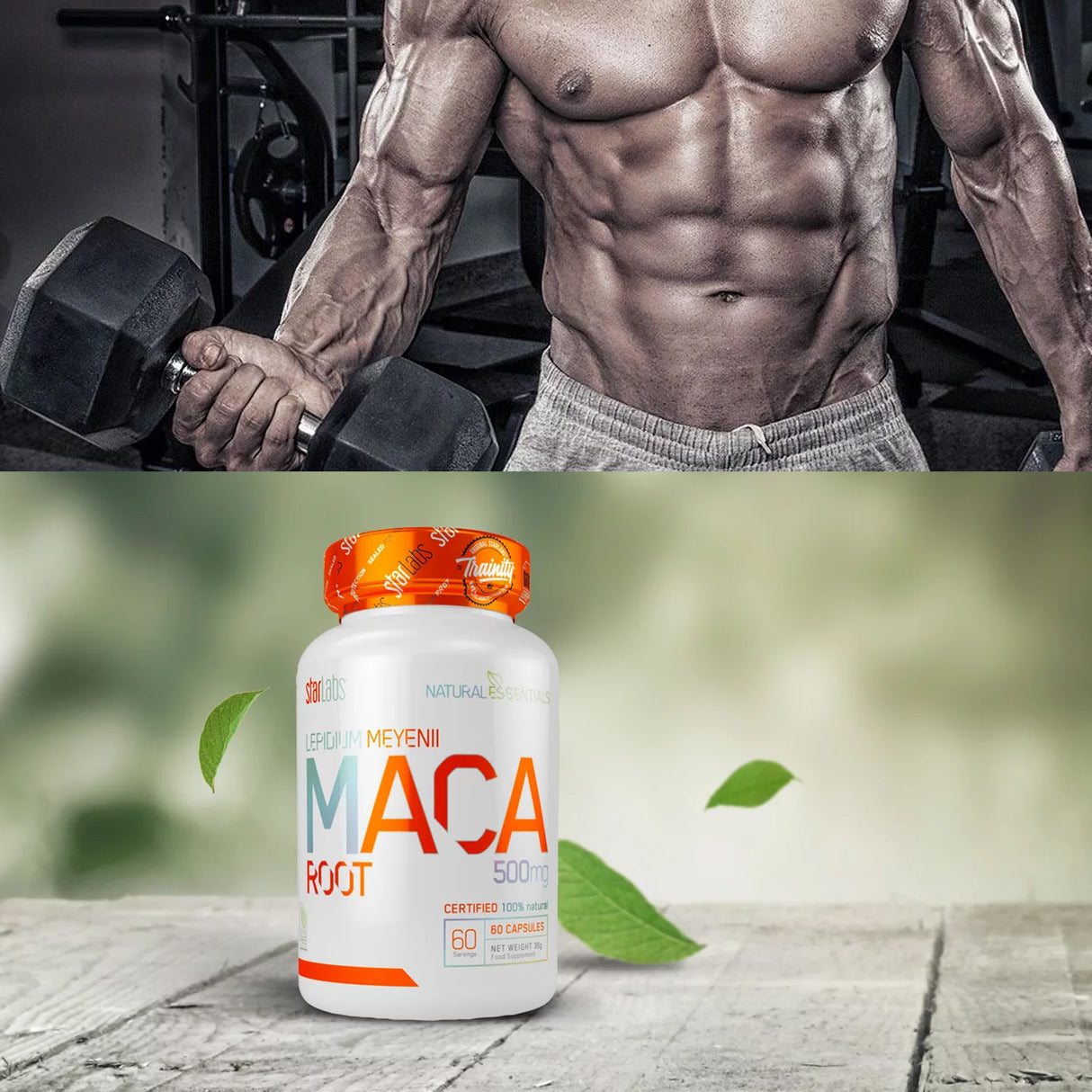 StarLabs MACA ROOT 500mg, 60 Caps - Klouds