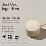 Sports Research - Collagen Peptides Powder Unflavored (907g)