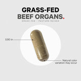 Grass Fed Beef Organs Supplement 180 Capsules