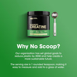 Optimum Nutrition Micronized Creatine Power 300g