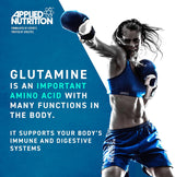 Applied Nutrition L-Glutamine Powder Micronized 100 Servings