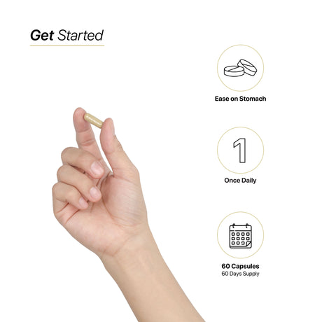 HC Nutrition Ashwagandha 500mg 60 Capsules