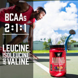 BSN Amino X - 435g